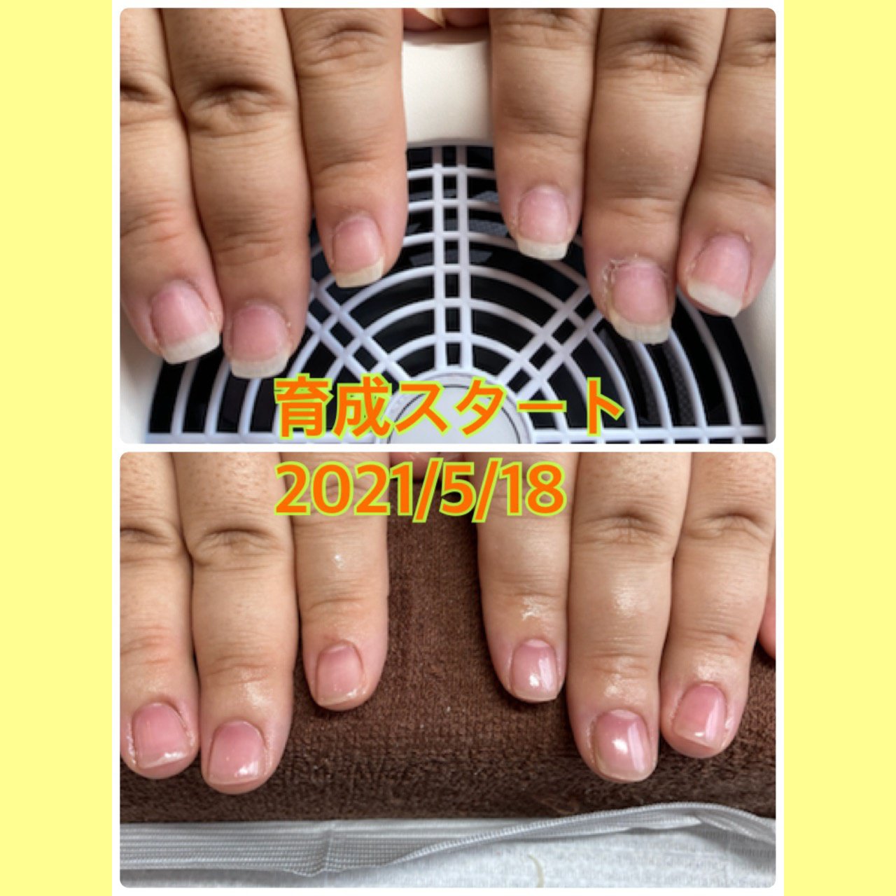 オールシーズン ハンド ジェル お客様 ゴンちゃんのネイルデザイン No ネイルブック