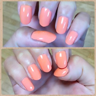 #coral #pink #onecolornail TMジェルスタイルマニキュア/ミルキーオレンジ（100均）を塗りトップコートを塗り完成。

#コーラルピンクネイル #ワンカラー #オレンジ #簡単ネイル #シンプル #100均 #プチプラ #ハンド #マニキュア #セルフネイル #オールシーズン #春 #nail #ネイル #ミディアム #夏 #パステル #女子会 #リゾート #海 #デート #かわいい #パステルカラー #pinknails #簡単 #春 #夏 #オールシーズン #女子会 #ハンド #シンプル #ワンカラー #ミディアム #ピンク #オレンジ #パステル #マニキュア #セルフネイル #10305 #ネイルブック