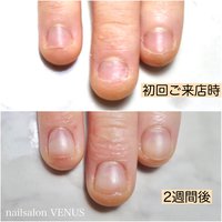 Nailsalon Venus 新潟のネイルサロン ネイルブック