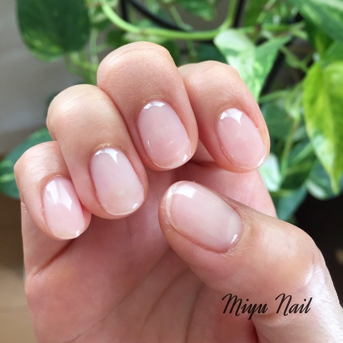 オールシーズン ハンド シンプル クリア ジェル Miyu Nailのネイルデザイン No ネイルブック