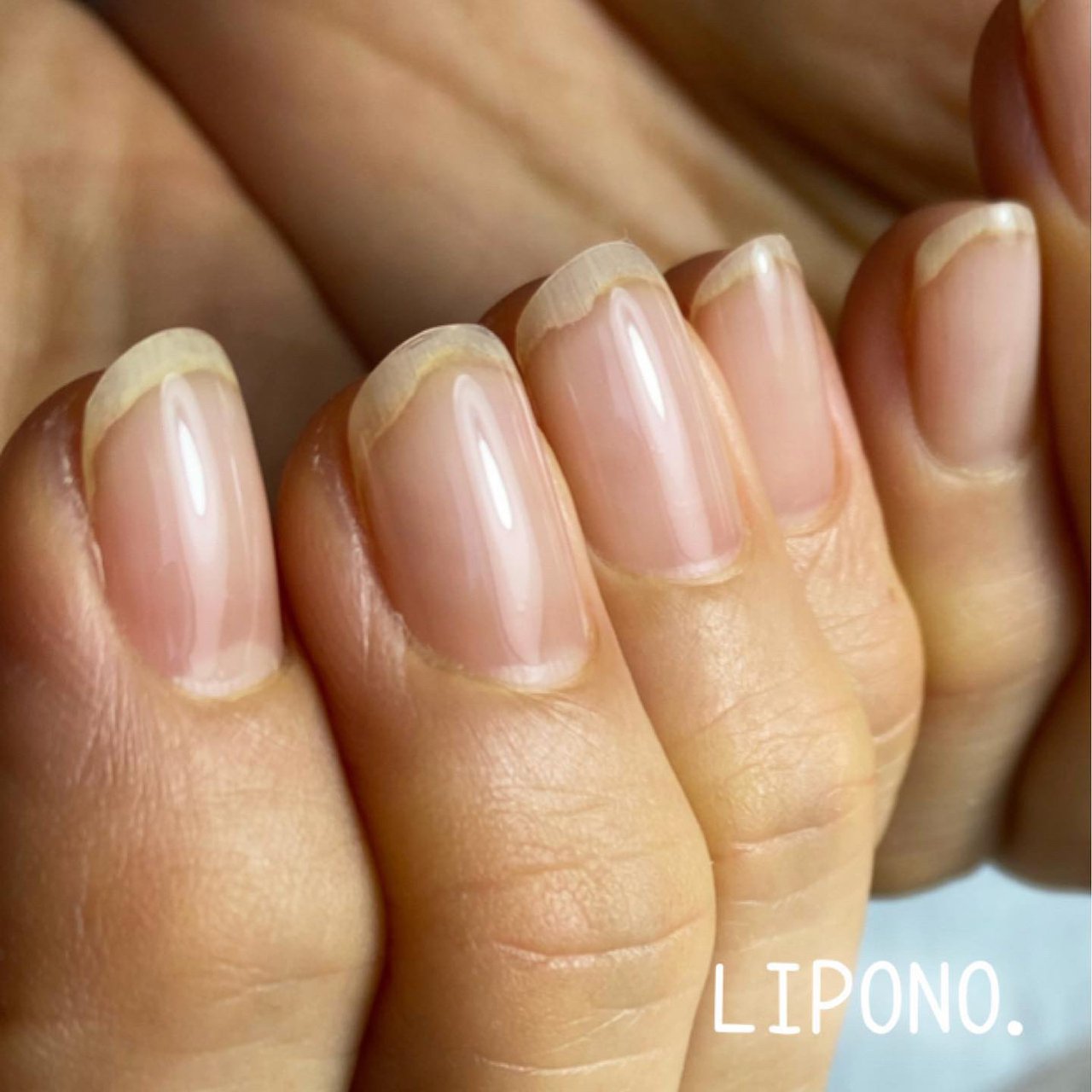 オールシーズン オフィス ブライダル ハンド シンプル Lipono Nail Ayaのネイルデザイン No ネイルブック