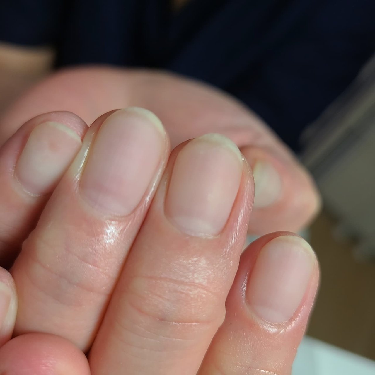 オールシーズン 旅行 スポーツ オフィス ハンド プルミエ ネイル フェイスwaxサロン 艶肌wax のネイルデザイン No ネイルブック