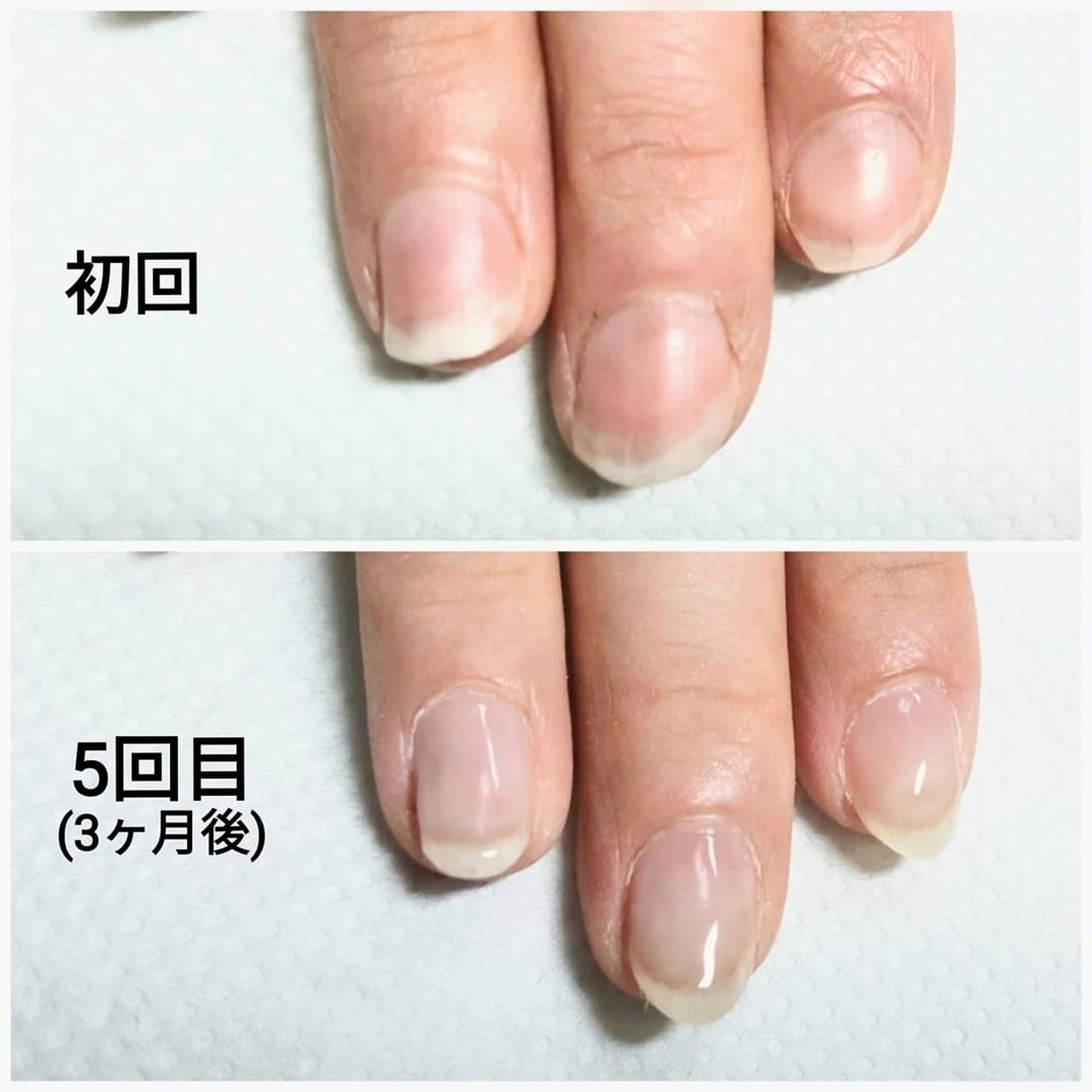 オールシーズン オフィス ハンド シンプル ミディアム Tinkumiのネイルデザイン No ネイルブック