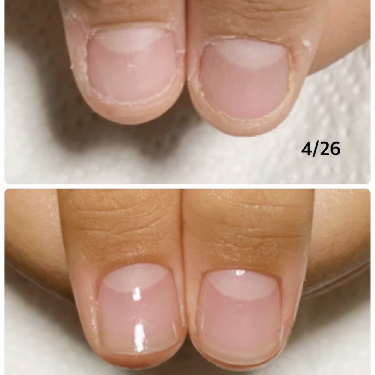 オールシーズン ハンド Avenir 表参道 アヴィニール Nail Eyelash Salonのネイルデザイン No ネイルブック