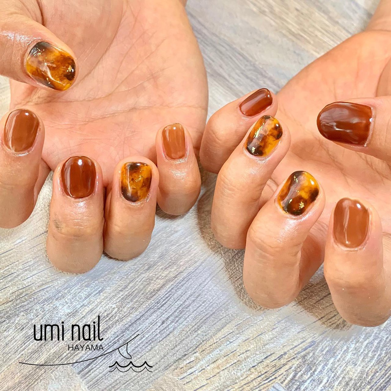 ベトロベラフォーマ70色セット