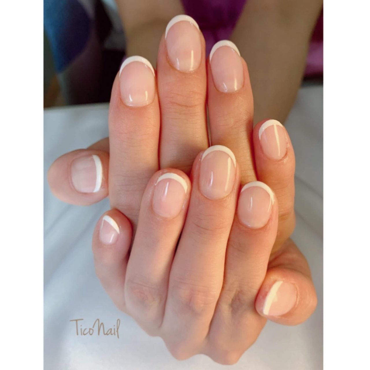 オールシーズン フレンチ ワンカラー ショート ホワイト Ticonailのネイルデザイン No ネイルブック