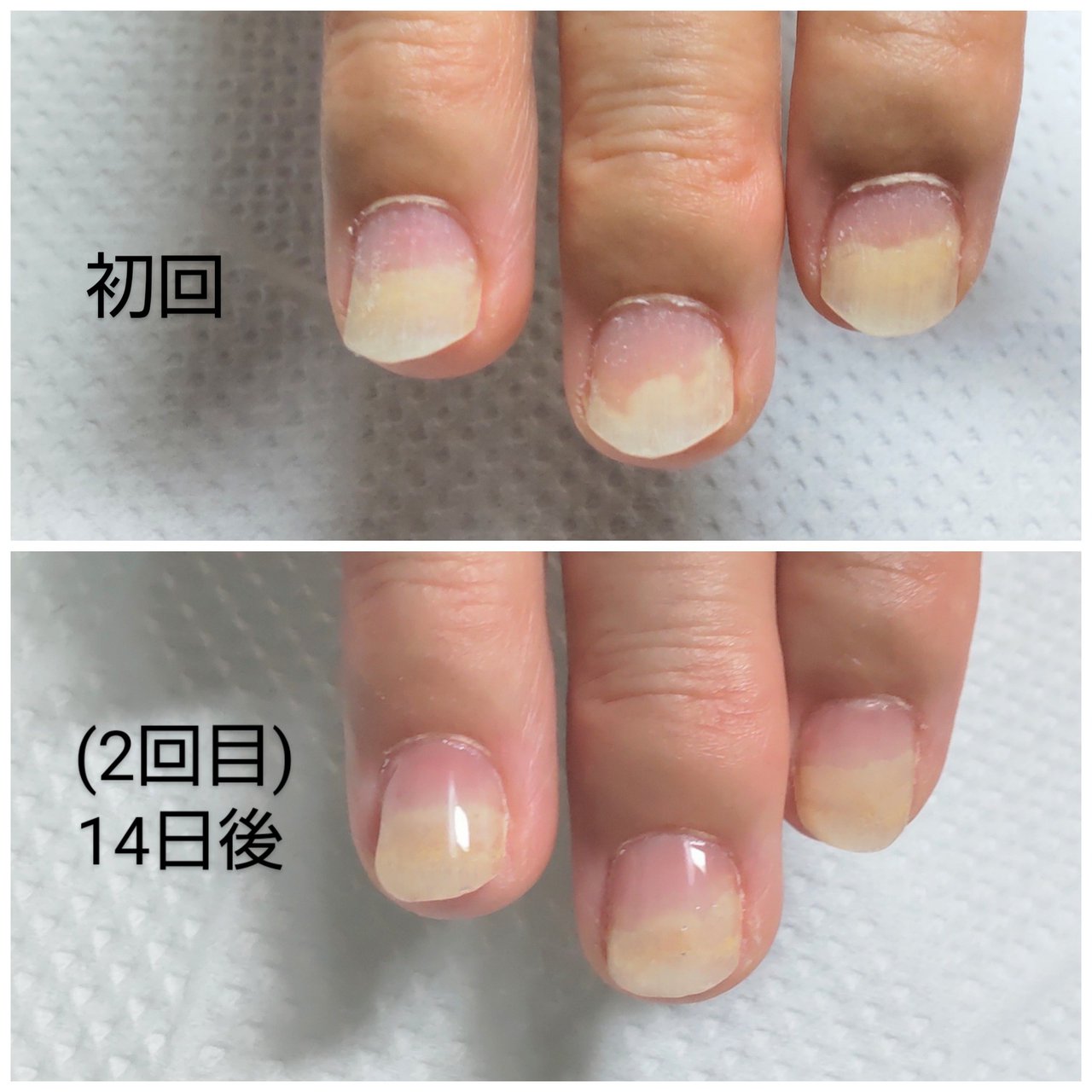 オールシーズン ハンド ショート クリア ジェルネイル Tinknail Kumiのネイルデザイン No ネイルブック