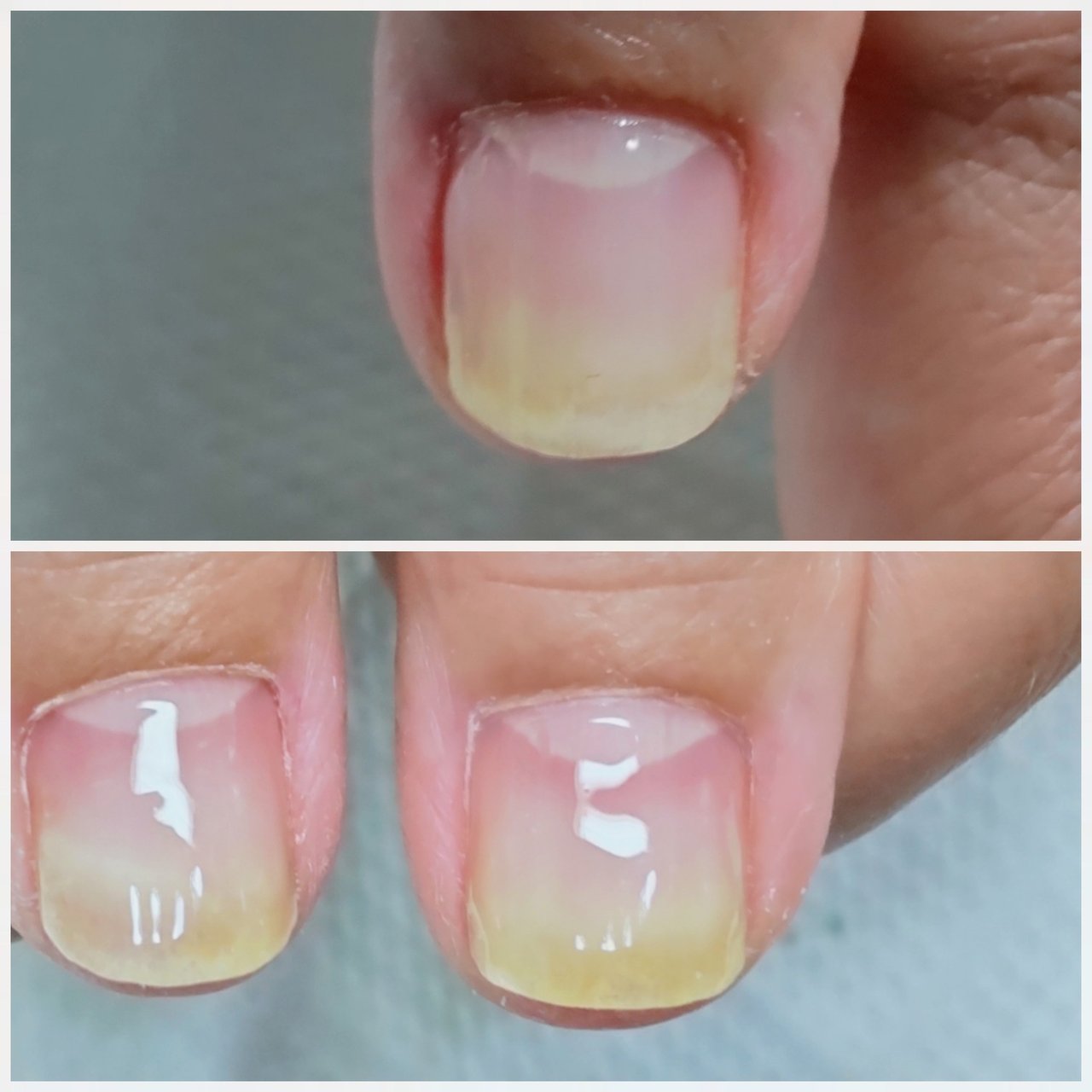 オールシーズン ハンド シンプル ショート クリア Tinknail Kumiのネイルデザイン No ネイルブック