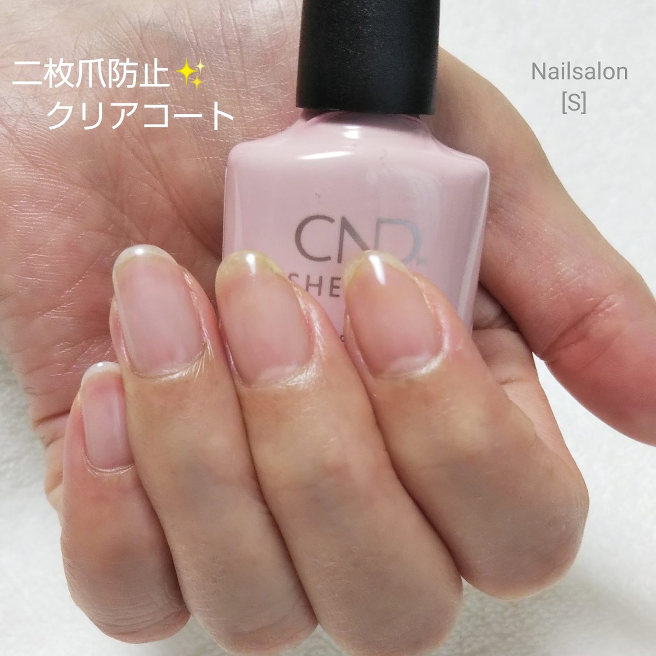 オールシーズン/オフィス/ハンド/シンプル/ワンカラー - シェラック