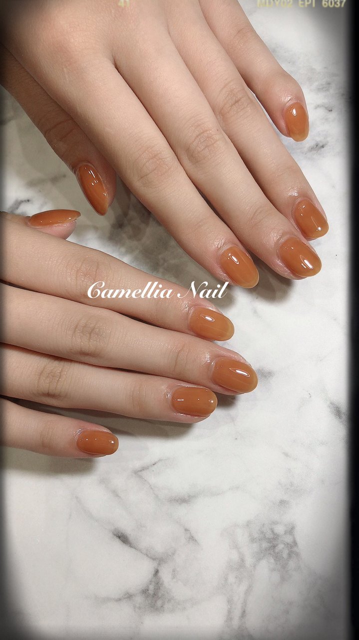 オールシーズン ハンド シンプル ワンカラー ショート Camellia Nailのネイルデザイン No ネイルブック
