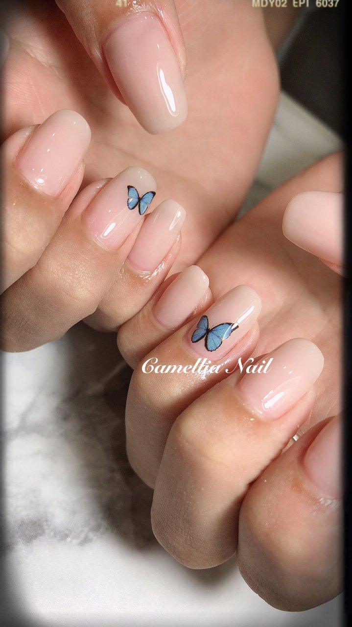オールシーズン オフィス ハンド シンプル ワンカラー Camellia Nailのネイルデザイン No ネイルブック
