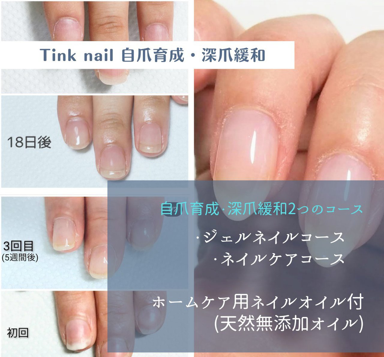 オールシーズン オフィス ハンド シンプル ショート Tinkumiのネイルデザイン No ネイルブック
