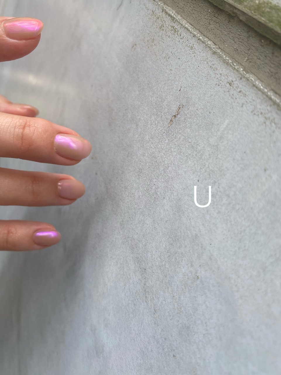 オールシーズン ハンド シンプル ショート ピンク U のネイルデザイン No ネイルブック