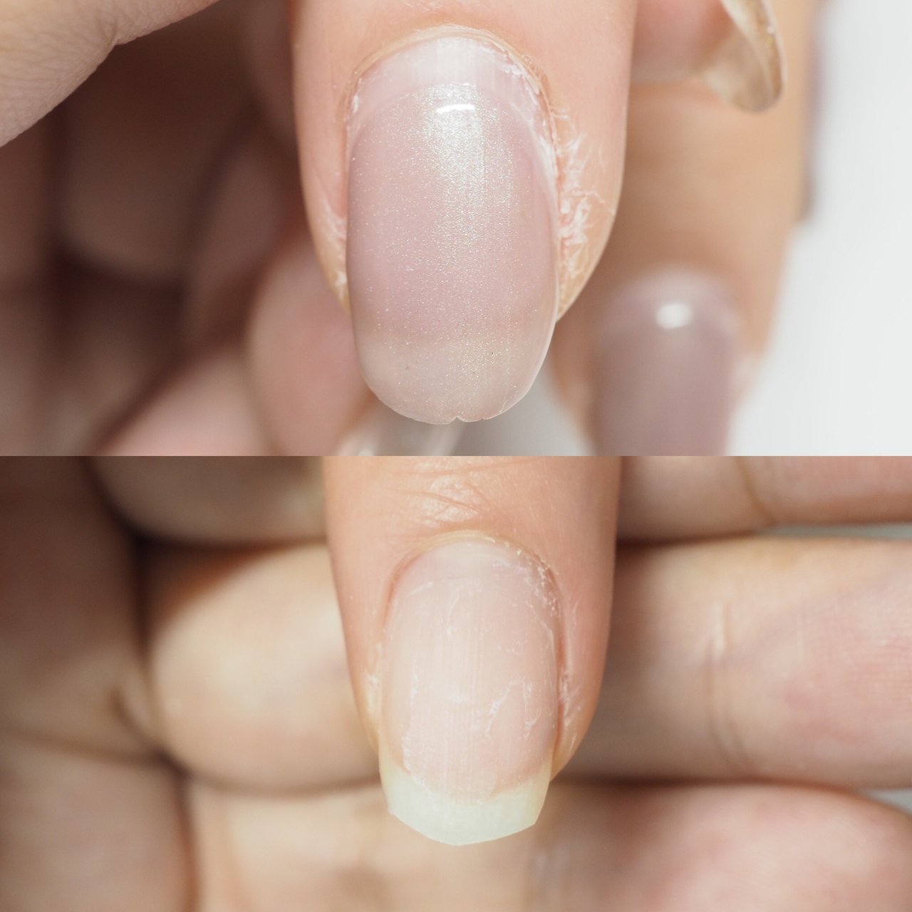 オールシーズン ハンド シンプル ワンカラー ショート ネイルアーティストアリスのネイルデザイン No ネイルブック