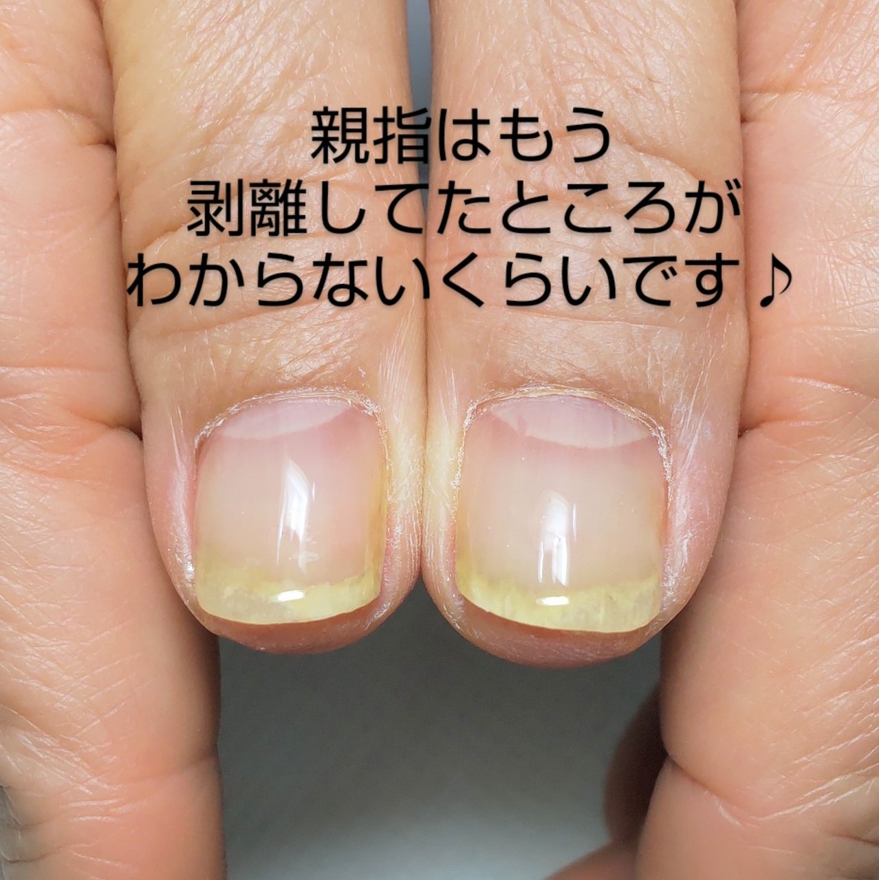 オールシーズン オフィス ハンド シンプル ショート Tinkumiのネイルデザイン No ネイルブック