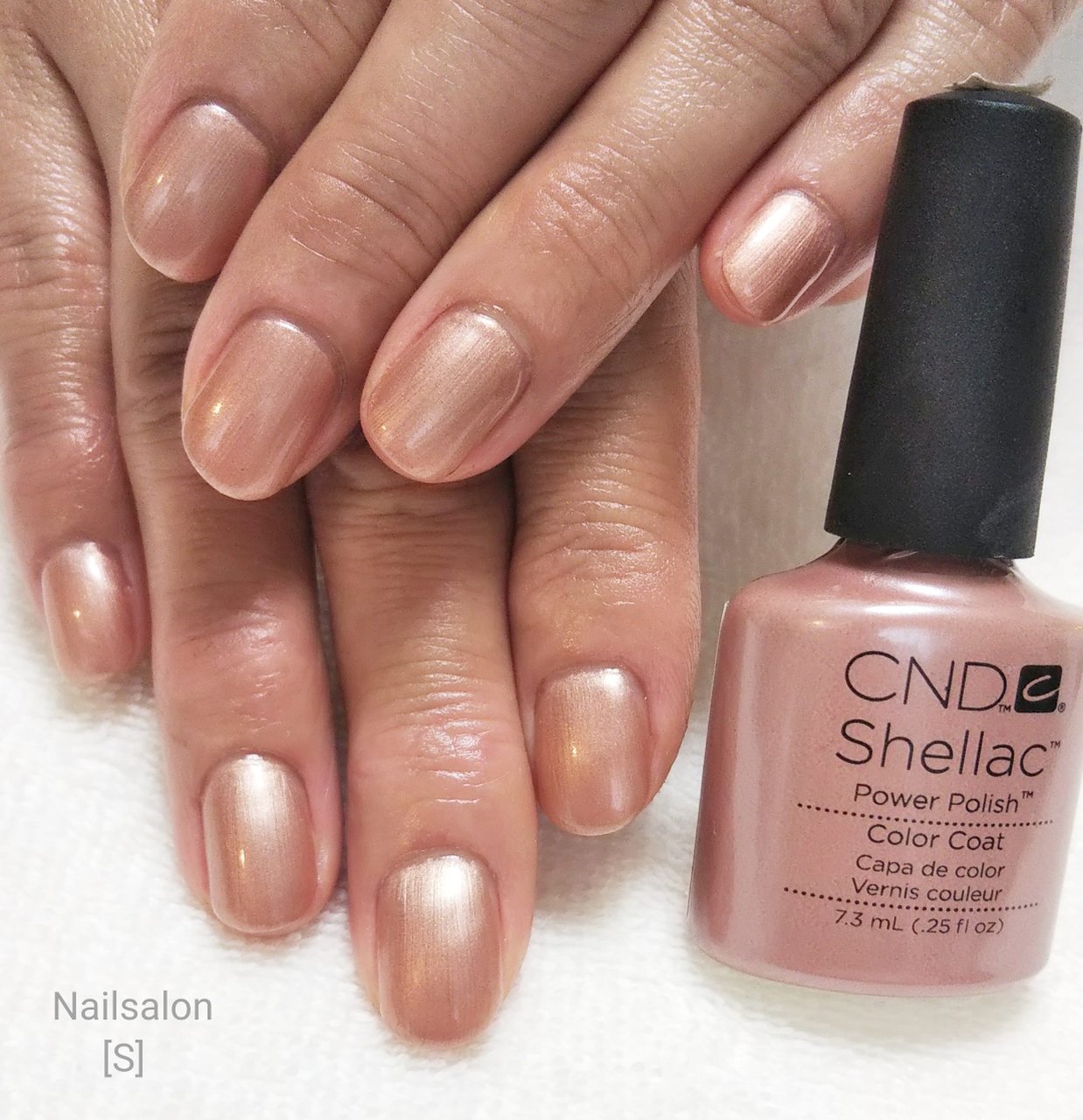 オールシーズン/オフィス/ハンド/シンプル/ワンカラー - シェラック