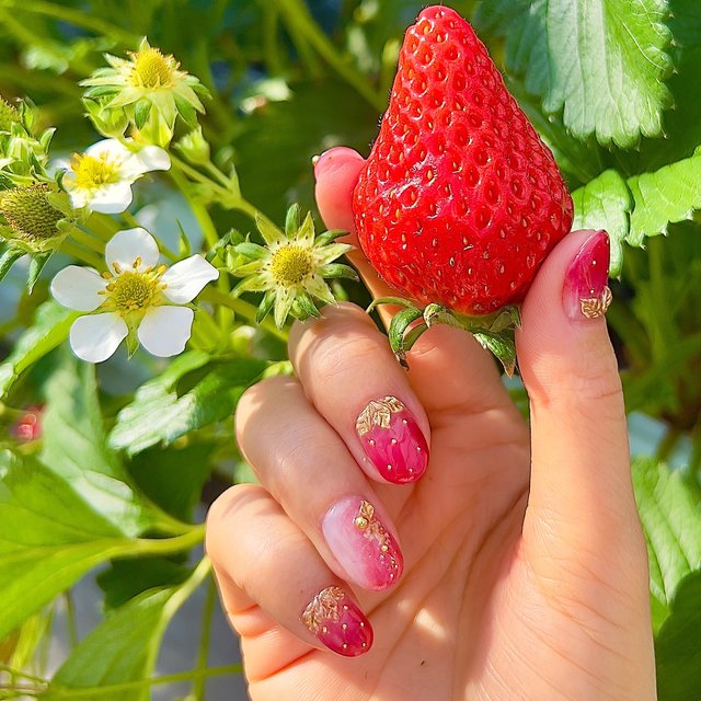 ピンク ラメ いちご さくらんぼ ネイルパーツ デコパーツ 8個 ピンク ラメ いちご さくらんぼ ネイルパーツ 8個 赤 いちご