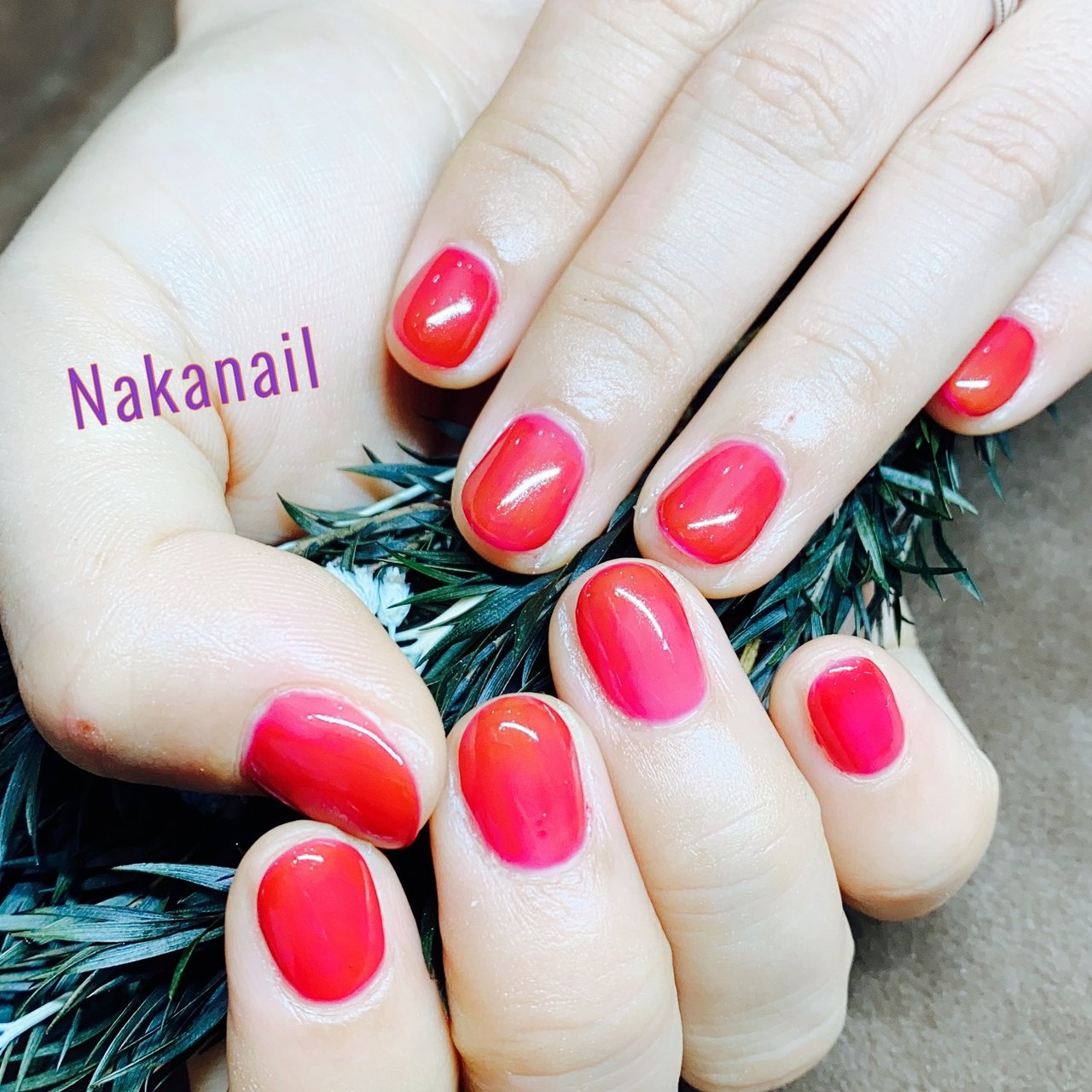 オールシーズン ハンド シンプル ワンカラー ショート Nakanailのネイルデザイン No ネイルブック