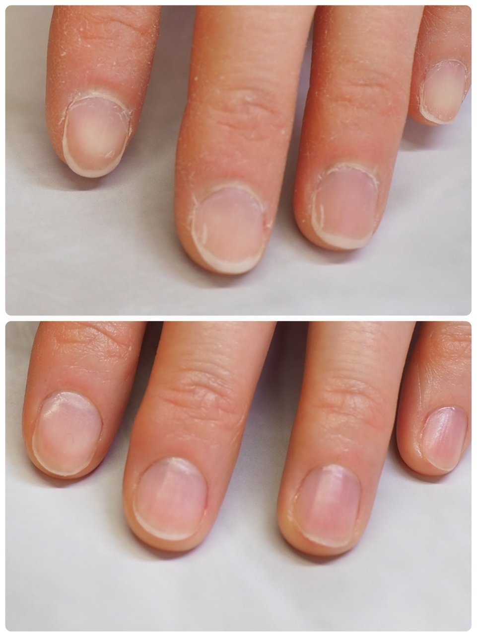 オールシーズン ハンド Fenailのネイルデザイン No ネイルブック