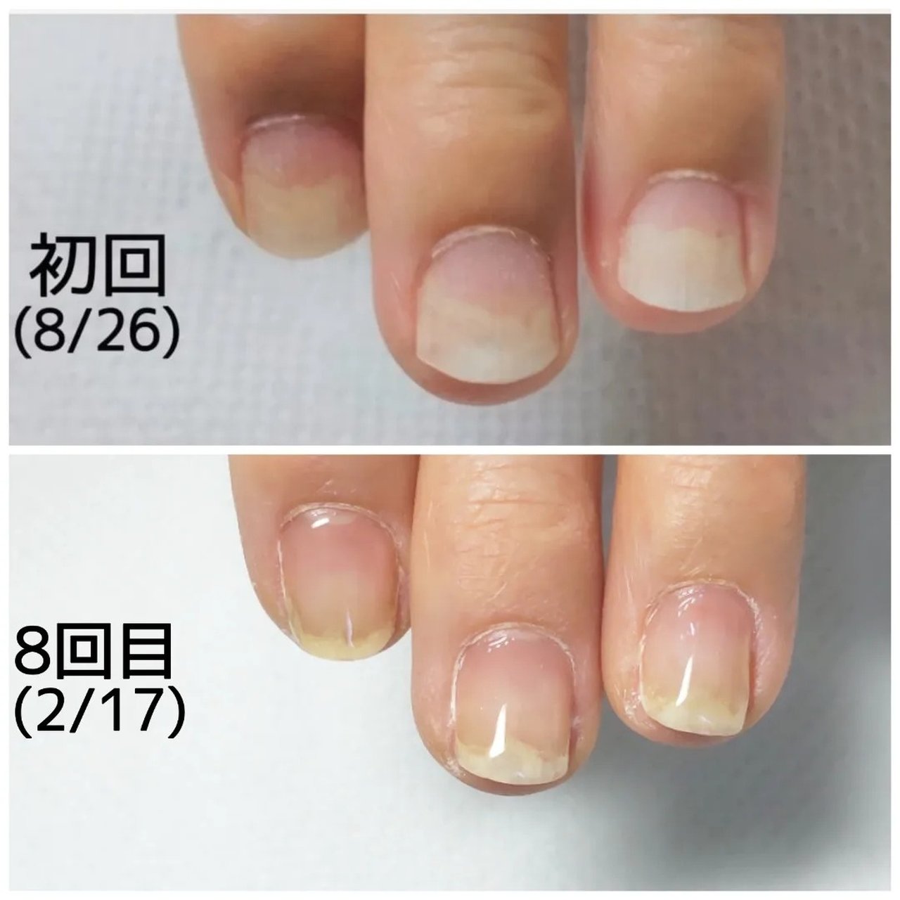 オールシーズン オフィス ハンド シンプル ショート Tinkumiのネイルデザイン No ネイルブック