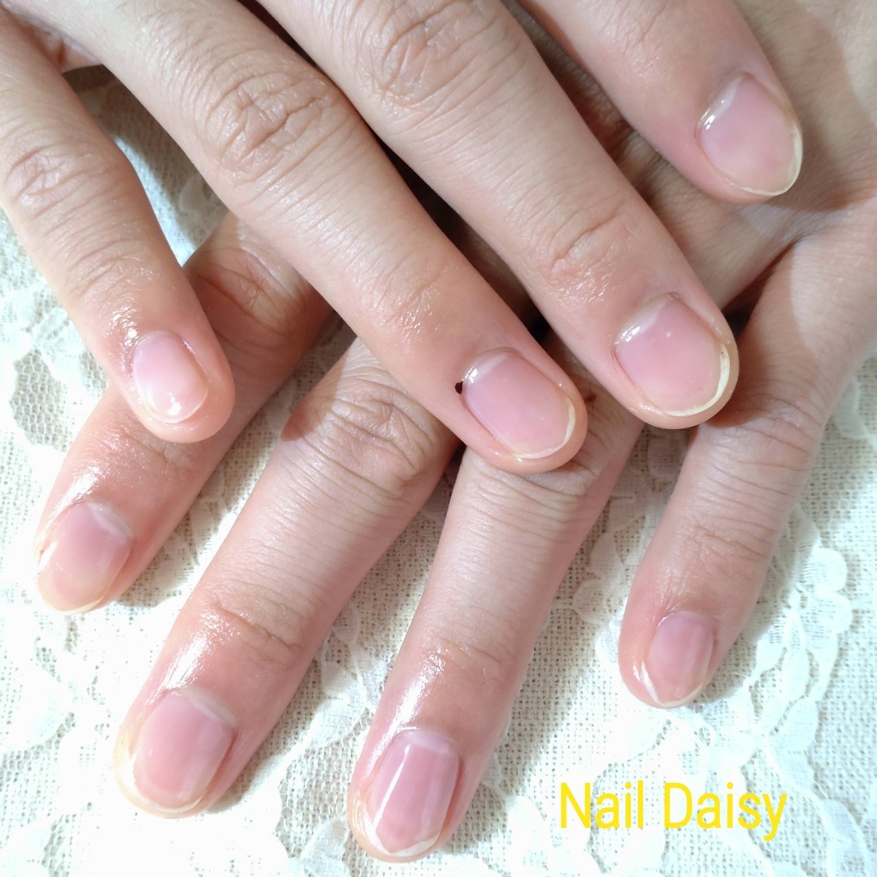 オールシーズン ハンド シンプル ショート クリア Naildaisyのネイルデザイン No ネイルブック