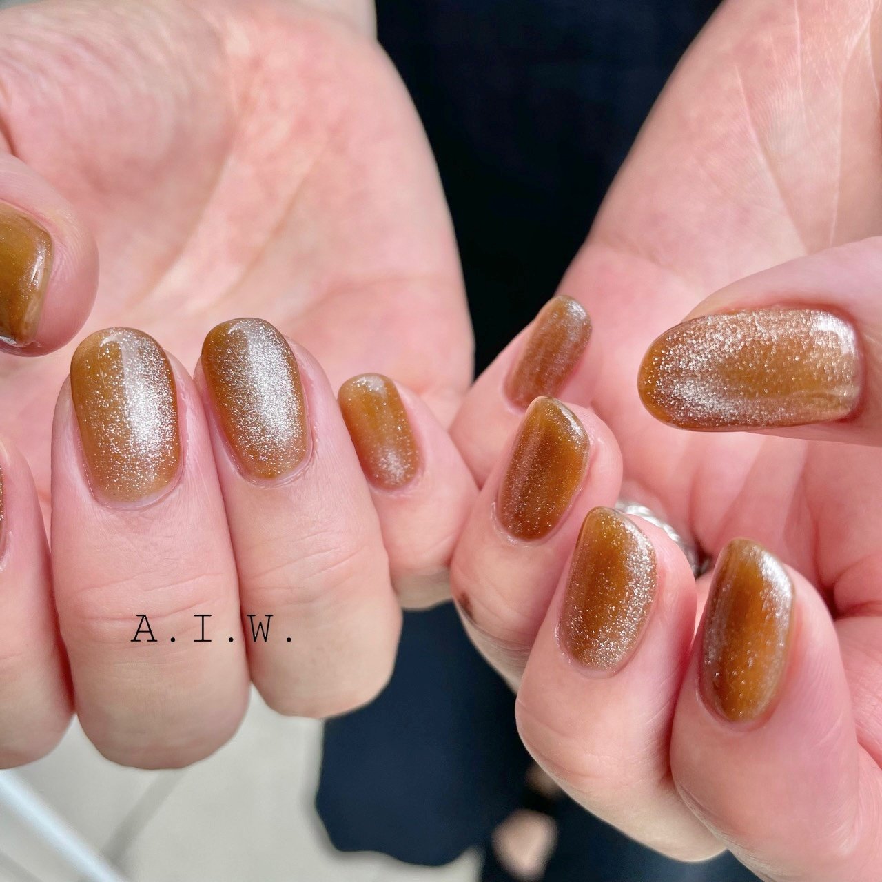 ブラウンマグネット×ラメ ワンカラーネイルチップ ブラウンマグネット