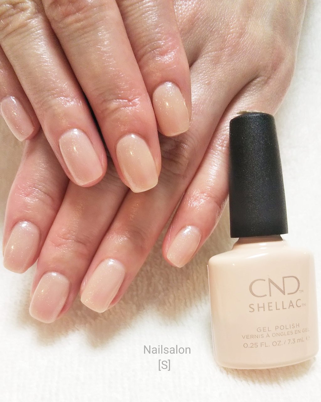 オールシーズン/オフィス/ハンド/ワンカラー/ミディアム - シェラック