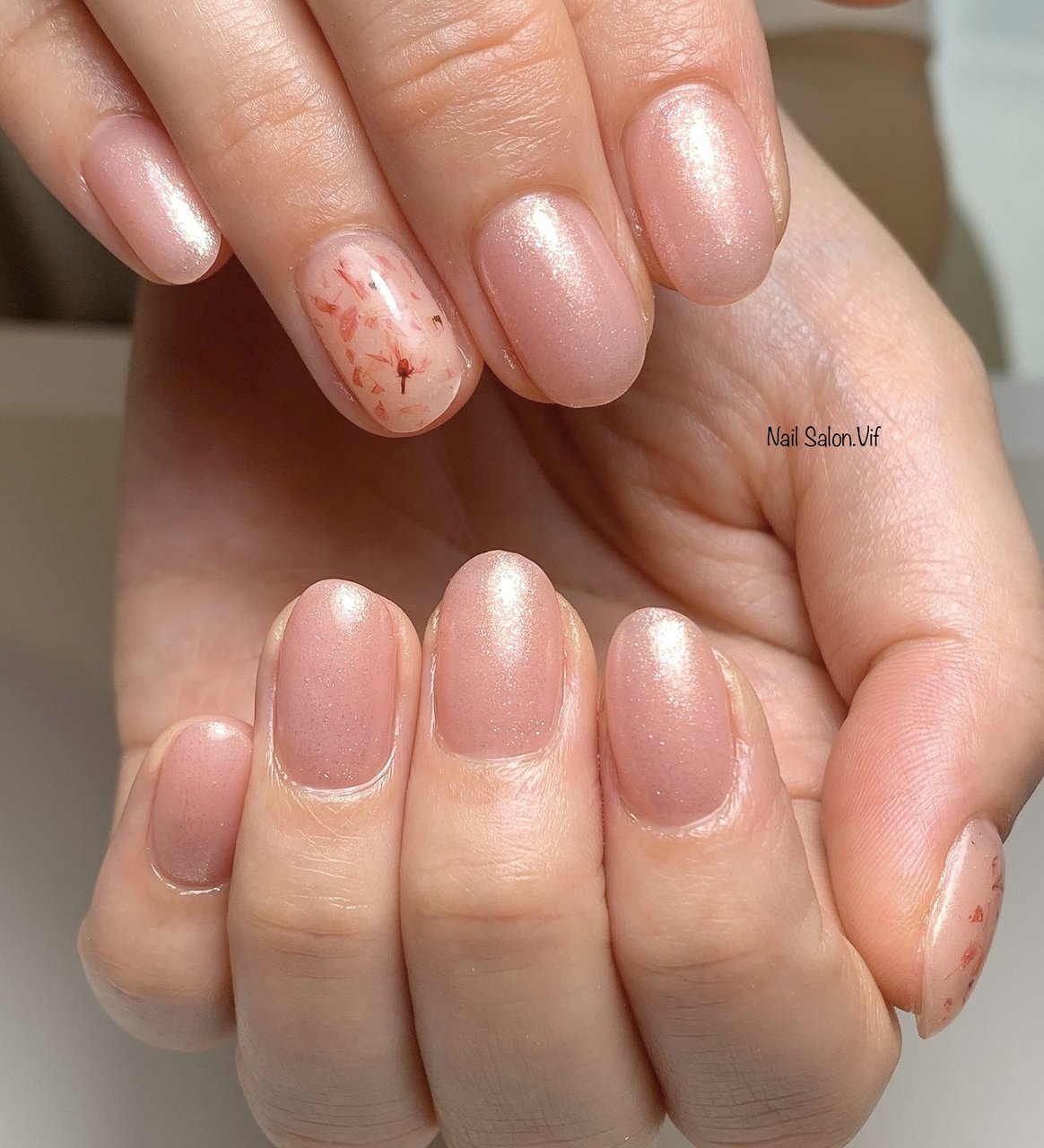 新品 マオネイル マオジェル マオ旅 全色 セット 東北 関東 北海道