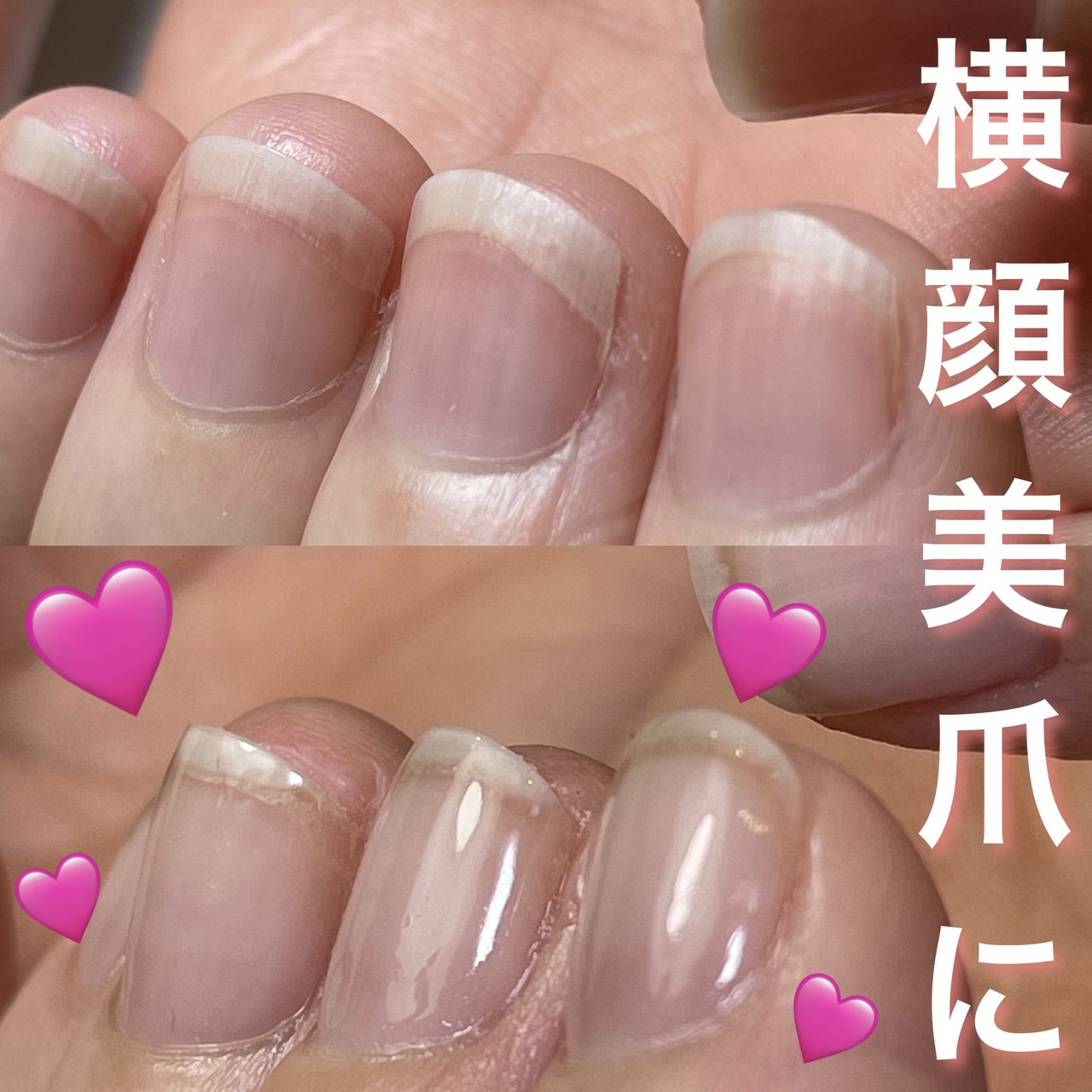 オールシーズン/オフィス/ハンド/ショート/ラウンド