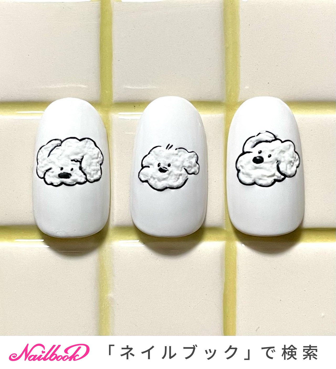 aako nail あーこのネイルチップ aako あーこのネイルチップ nail