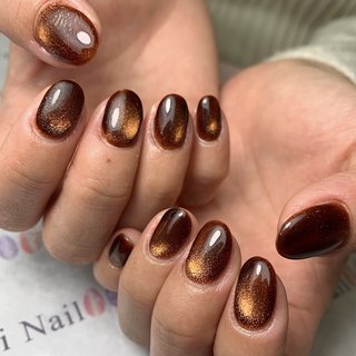 ブラウンマグネット×ラメ ワンカラーネイルチップ ワンカラー