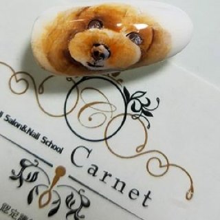 Carnet nail♡ ～冨田絹代先生の模写セミナーからの練習～ 
ジェルネイルで書くトイプードル🐶✨🎨
書いてるうちに不思議と愛着が沸いてくるこの子🐶♡ かわいい(///∇///) 8月お得なキャンペーンのお知らせ  大好評につき、ジェルネイル💅引き続き何しても￥5.980(税込)実施中！
※何しても￥5.980円です❕

#ジェルネイル#キャンペーン#夏#夏ネイル#summer#模写セミナー#冨田絹代先生#トイプードル#アート#アートの世界#犬#dog#練習#可愛い#愛着が沸いてくる#山梨県#ネイルサロン#ネイルスクール#エステサロン#カルネ #Carnet #ネイルブック