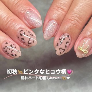 ネイルチップ／ヒョウ柄 豹 レオパード 韓国 くらい 量産型 