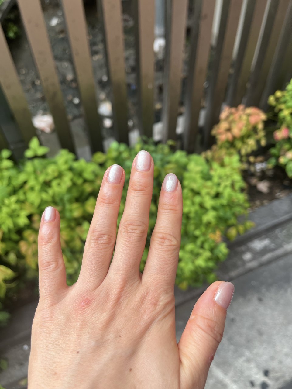 オートネイル ネイルマシン ジェルネイル ネイルオフ セルフネイル ネイル