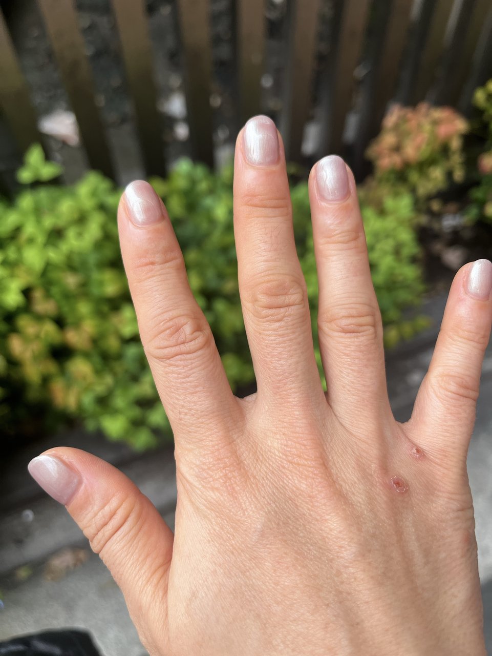 オートネイル ネイルマシン ジェルネイル ネイルオフ セルフネイル ネイル