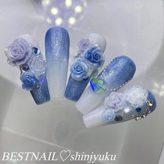 ネイルチップ フレンチ 薔薇 ピクシー ネイビー