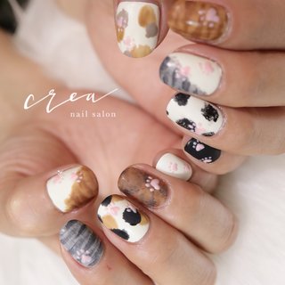 ぷっくり　貝殻ネイル　ねこ　肉球　ネイルチップ　オーダー　リボン ぷっくり貝殻ネイルねこ肉球ネイルチップオーダーリボン