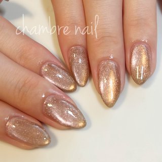 アイボリーべっ甲ニュアンスマグネットネイル ベージュ シェル 韓国