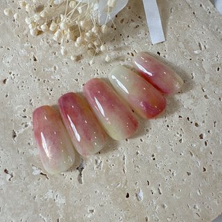ネイルチップ(サンプルチップ)/ラメグラデーションのネイルデザイン