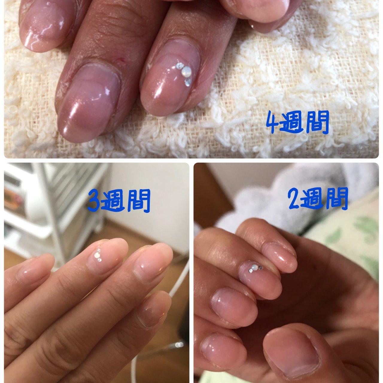 夏 トロピカル マリン Nail Irizoのネイルデザイン No 321 ネイルブック