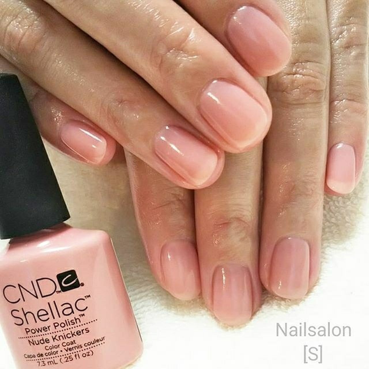 オールシーズン オフィス ハンド シンプル ワンカラー シェラックネイル専門店 S のネイルデザイン No ネイルブック