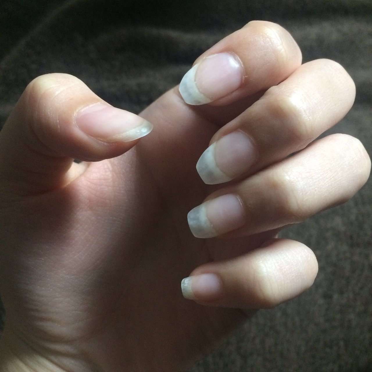 オールシーズン オフィス ハンド ショート ホワイト Miyuu Nailのネイルデザイン No ネイルブック