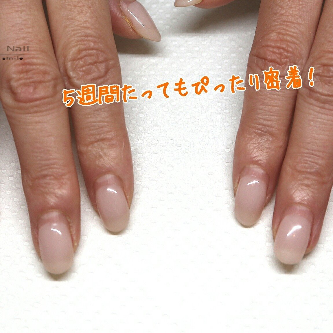 オールシーズン オフィス デート ハンド シンプル Fualinailのネイルデザイン No ネイルブック