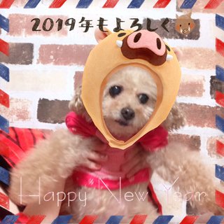 人気順 Snowに反応する犬のネイルデザイン ネイルブック