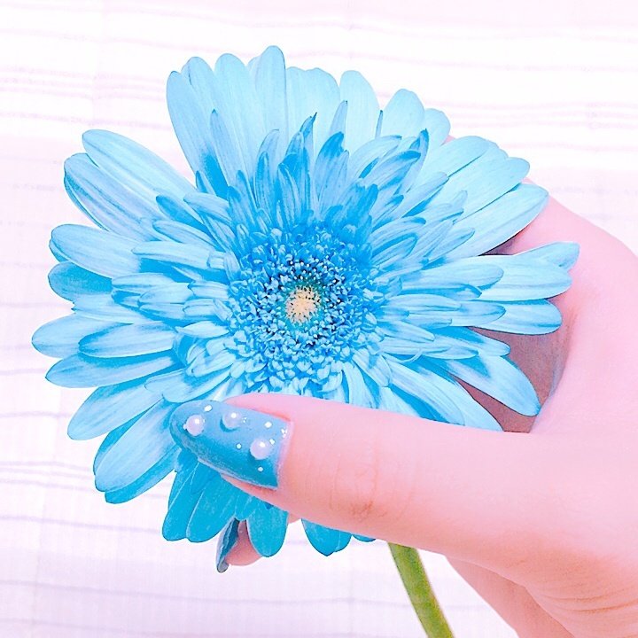 夏 オールシーズン 海 ハンド シンプル Omochi No Nailのネイルデザイン No ネイルブック