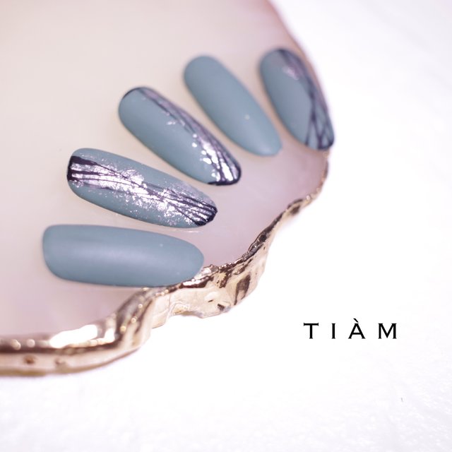 奈良県桜井市tiam Nail Salon School 桜井のネイルサロン ネイルブック