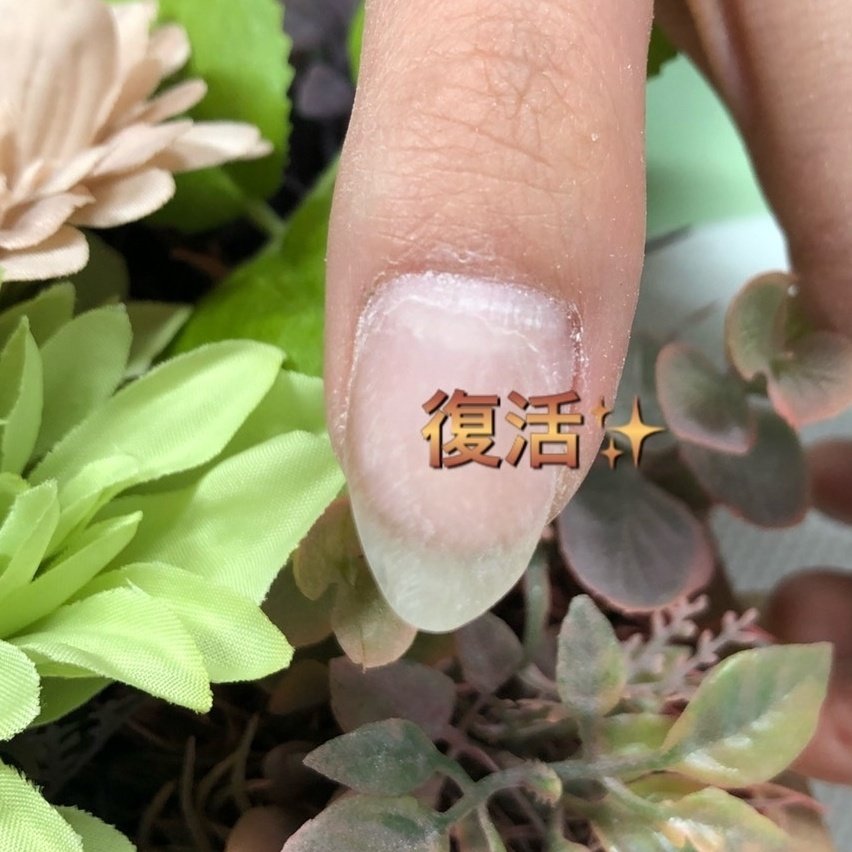 オールシーズン ハンド ミディアム クリア スカルプチュア Glanz Nail Aのネイルデザイン No ネイルブック