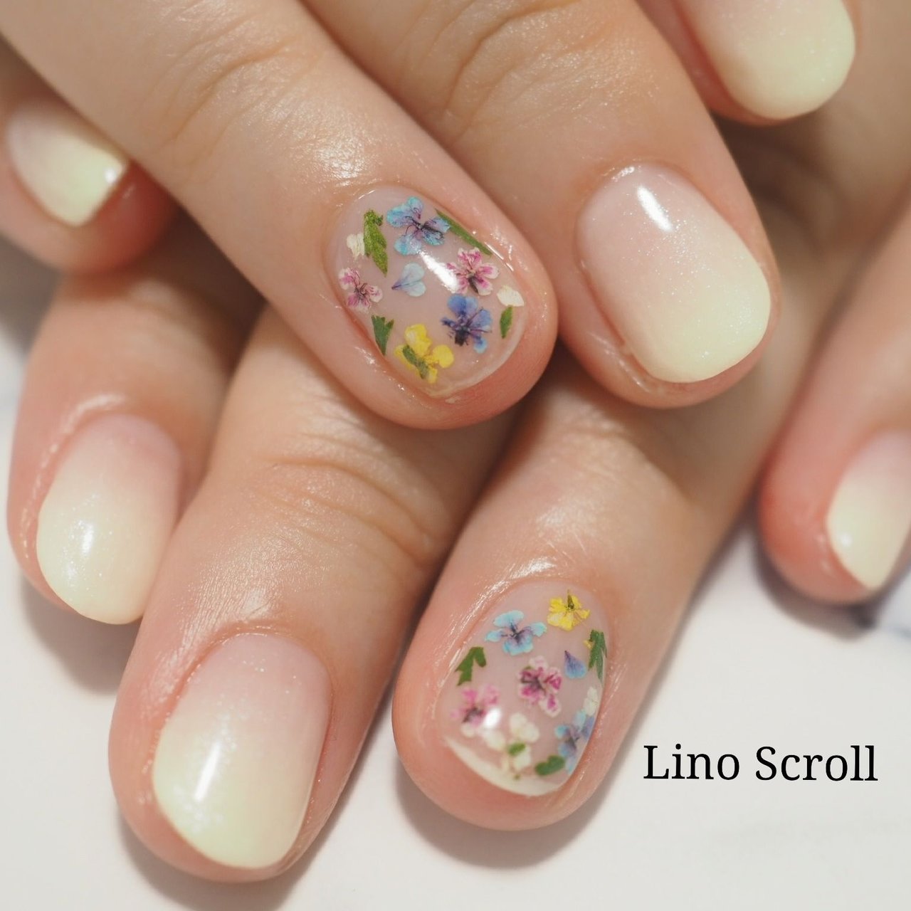 春 ハンド グラデーション 押し花 ショート Lino Scrollのネイルデザイン No ネイルブック