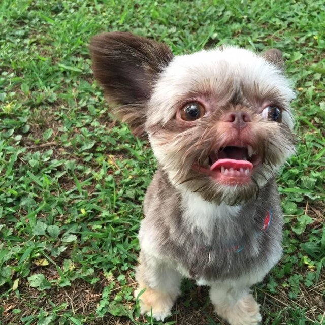 今井優香さんのプロフィール ネイルブック