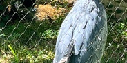 上野動物園